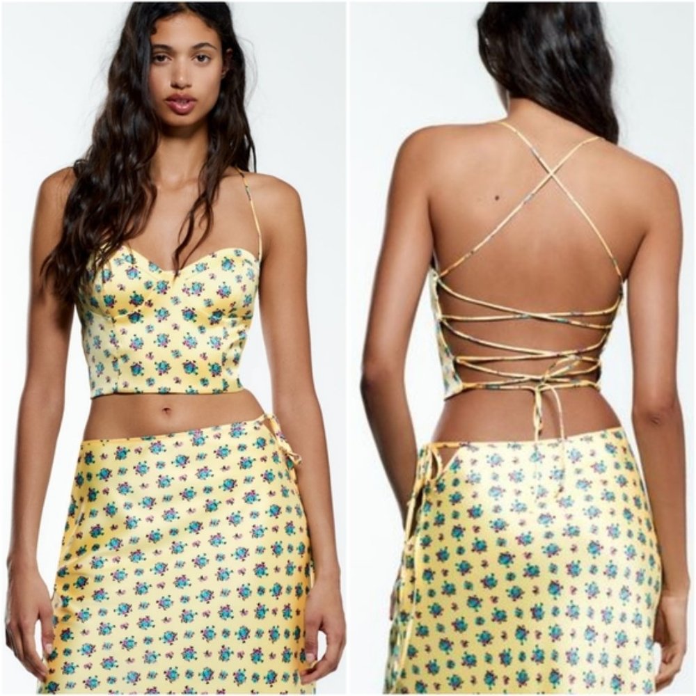 Zara  backless crop